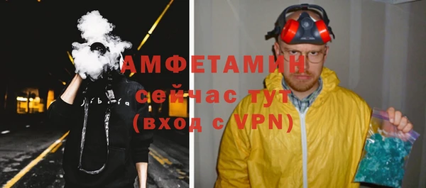 гидра Абаза