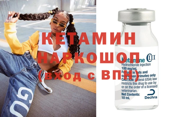 гидра Абаза
