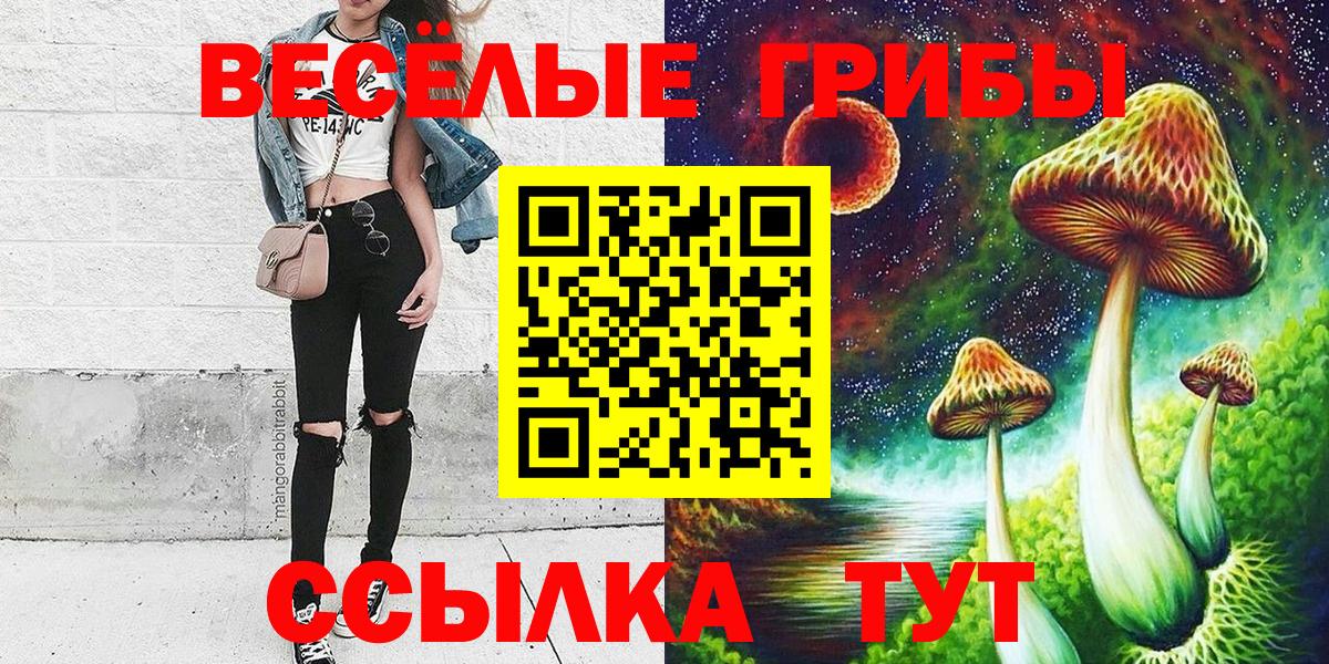 Галлюциногенные грибы Psilocybe  Вход с VPN  Смоленск 